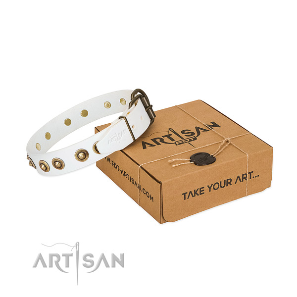 Reliable decorations on genuine leather dog collar for your four-legged friend