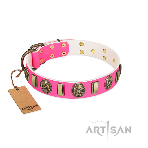 Corrosion proof traditional buckle on leather dog collar for your four-legged friend