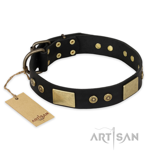 Incredible full grain natural leather dog collar for walking