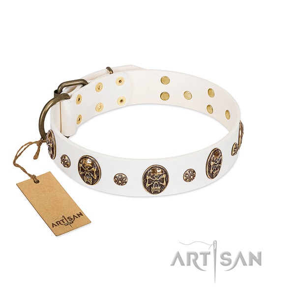 Embellished genuine leather collar for your doggie