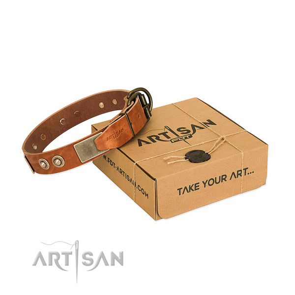 Corrosion resistant adornments on dog collar for daily use