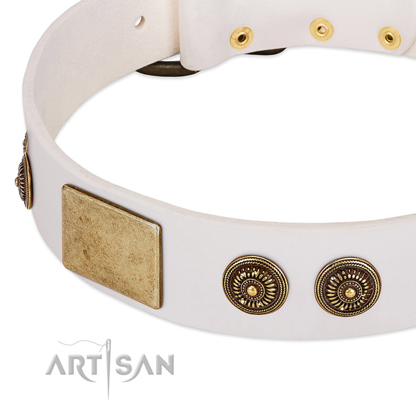 Top quality dog collar created for your stylish canine