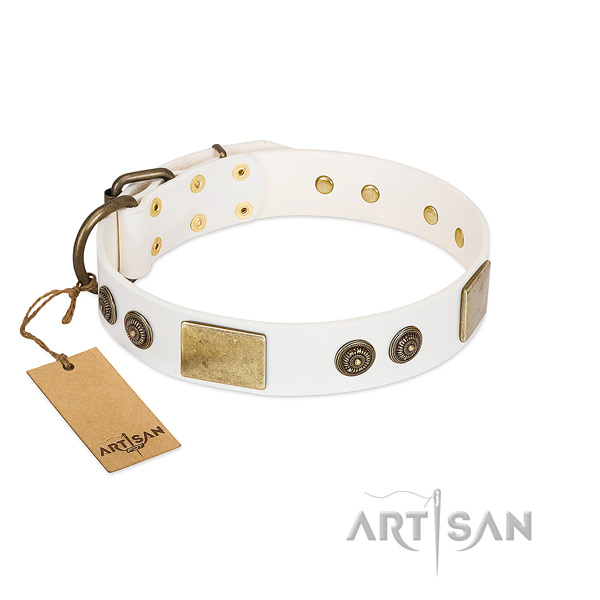 Convenient full grain leather dog collar for comfy wearing