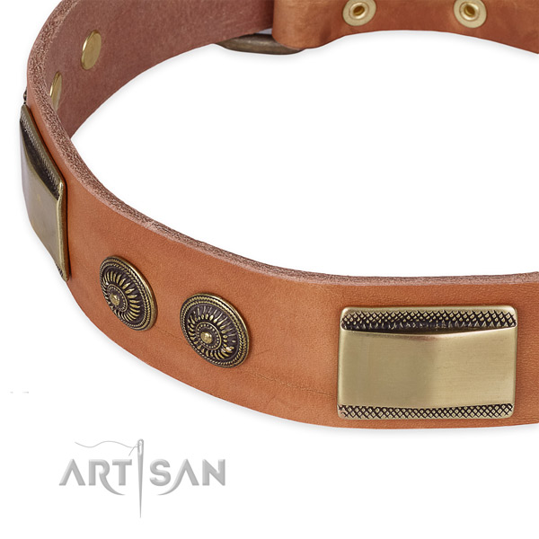 Reliable hardware on leather dog collar for your pet