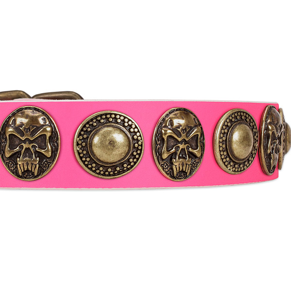 Rust-proof traditional buckle on genuine leather dog collar for your four-legged friend