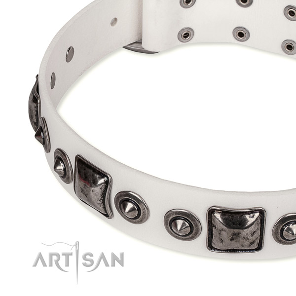 High quality full grain natural leather dog collar handcrafted for your handsome doggie