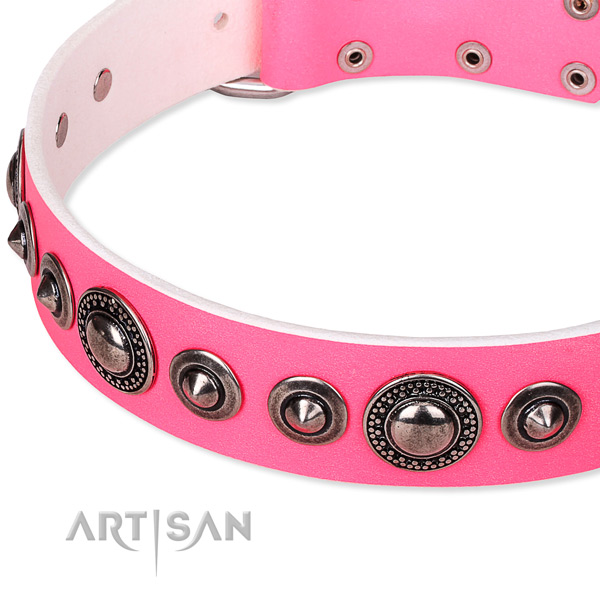 Comfortable wearing decorated dog collar of strong full grain leather