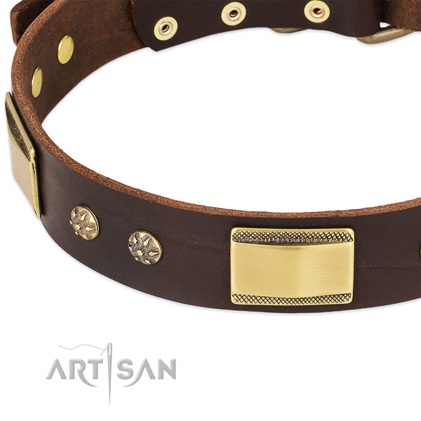 Corrosion proof adornments on genuine leather dog collar for your dog