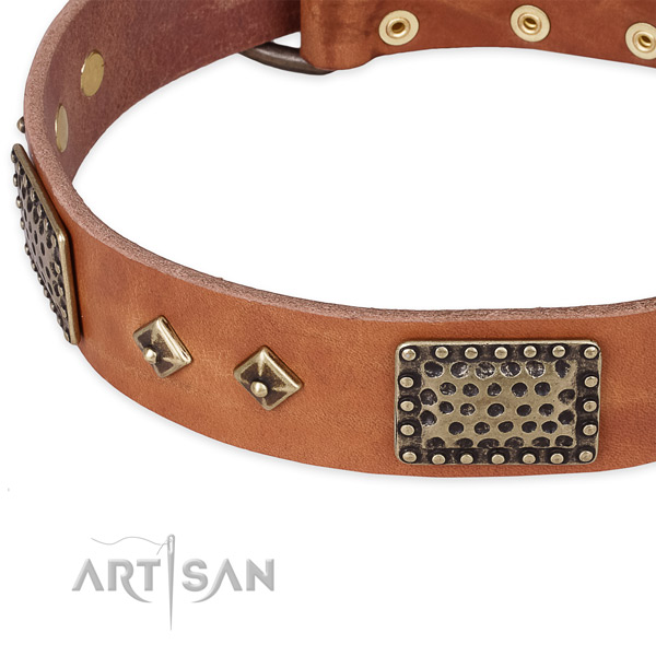 Reliable traditional buckle on full grain natural leather dog collar for your dog