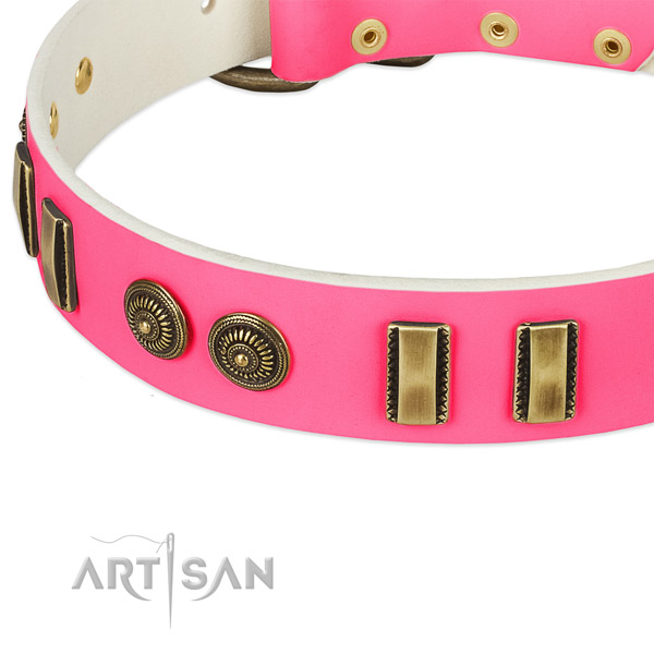 Corrosion resistant studs on leather dog collar for your dog