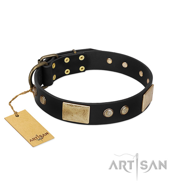 Easy wearing genuine leather dog collar for everyday walking your pet