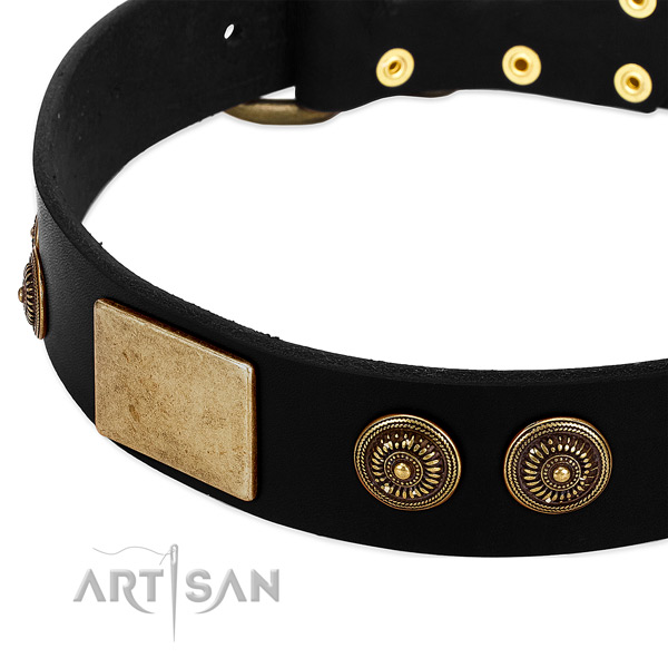 Strong traditional buckle on leather dog collar for your canine