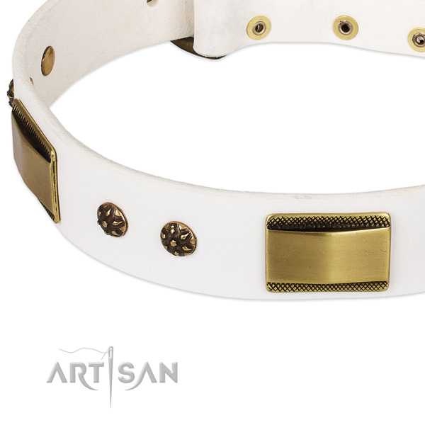 Rust-proof adornments on genuine leather dog collar for your four-legged friend