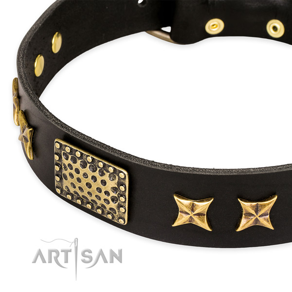 Full grain natural leather collar with rust resistant hardware for your lovely dog