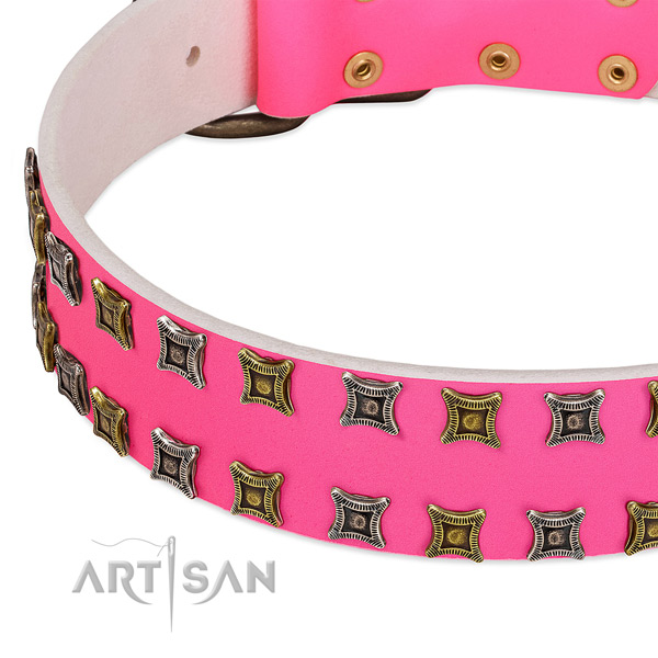 Genuine leather dog collar with amazing studs
