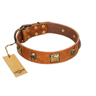 "Knights Templar" FDT Artisan Tan Leather Rottweiler Collar with Skulls and Crossbones Combined with Squares