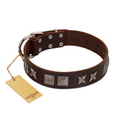 "Needle Stories" Modern FDT Artisan Brown Leather Rottweiler Collar with Square Engraved Plates and Four-Point Stars