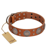 "Sun Rise Noon" FDT Artisan Tan Leather Rottweiler Collar with Unique Design
