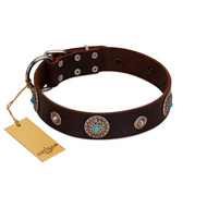 "Magic Stones" FDT Artisan Brown Leather Rottweiler Collar with Chrome Plated Brooches and Studs