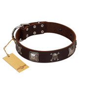 "Nut-Brown Finery" Embellished FDT Artisan Brown Leather Rottweiler Collar with Chrome Plated Crossbones and Plates