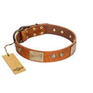 "Ancient Treasures" FDT Artisan Tan Leather Rottweiler Collar with Antiqued Plates and Studs