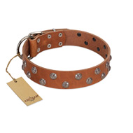 "Waltz of the Flowers" Handmade FDT Artisan Tan Leather Rottweiler Collar with Chrome-plated Engraved Studs