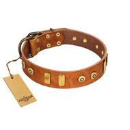 "Egyptian Script" FDT Artisan Tan Leather Rottweiler Collar with Plates and Small Studs