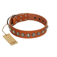 "Silver Spike" Handmade FDT Artisan Tan Leather Rottweiler Collar with Old Silver-Like Spikes