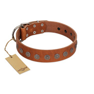 "Lucky Star" Handmade FDT Artisan Designer Tan Leather Rottweiler Collar with Round Plates