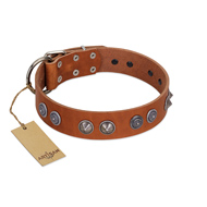 Silver Necklace Incredible FDT Artisan Tan Leather