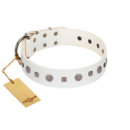 "Drops on Snow" Handmade FDT Artisan White Leather Rottweiler Collar Adorned with Silver-Like Studs