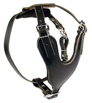 Worthy Leather Padded Dog Harness-Exclusive Rottweiler Harness