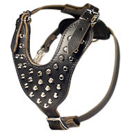 Handmade Rottweiler Harness-Pyramids Studded Leather Dog Harness